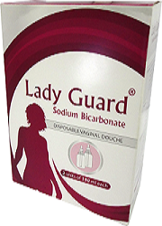 Lady Guard.png - 85.44 kb
